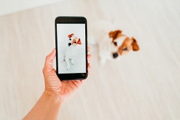 Post image for We print photos and documents from your phone!