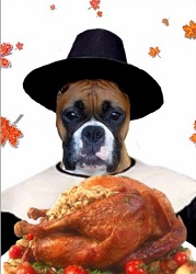 Post image for Closed for Thanksgiving Day